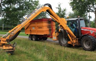 Bermgras is interessante grondstof voor papier en karton