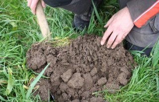 Bonduelle zet met regeneratieve landbouw stappen in duurzaamheid