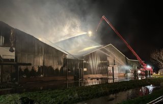 50.000 kippen omgekomen bij grote schuurbrand in Puiflijk