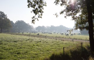 LTO Noord draagt trekkersrol Springendal over aan provincie Overijssel