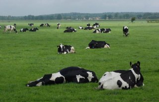 Overijssel ontziet PAS-melders na indienen reductieplan stikstof