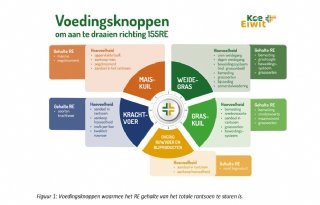 Met krachtvoer sturen op 155 gram ruw eiwit per kilo droge stof