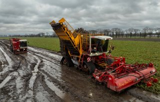 Rupsrooier redt laatste suikerbieten