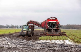 Nu vooral wachten op echt droog weer