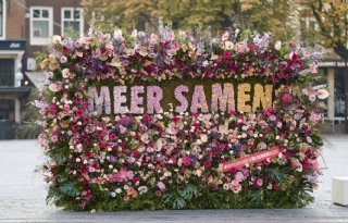 Sierteelthandel spreekt zich uit over draagvlak Bloemenbureau Holland