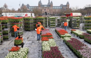 Snijtulpenseizoen afgetrapt met pluktuin op Museumplein Amsterdam