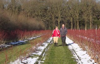 Blauwe bessenbedrijf zoekt al vier jaar naar opvolger