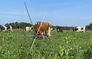 Graskruidenmengsels werken slim samen met natuur