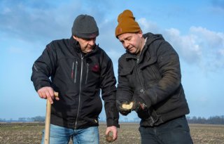 Hectares pootgoed verloren door de vorst: 'Het water loopt eruit'