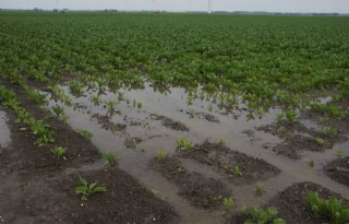 Waterschappen kruipen verder het land op