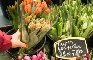 Breder draagvlak in omzetgroei bloemen op FloraHolland