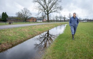 Utrechtse melkveehouder in de knel door derogatie en bufferstroken