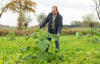 Boer in Nederweert maakt cirkel rond met duurzame houtteelt