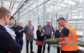 Kiemproeven en ouderlijnen in nieuwe kas Syngenta