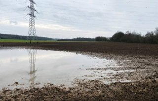 Meldingen hagel- en waterschade stromen binnen bij verzekeraars