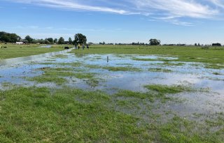 Inundatie in strijd tegen bodemdaling