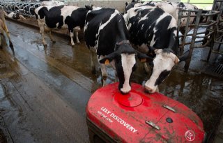 Gelderland wil verdere uitbreiding doelsturing in de landbouw