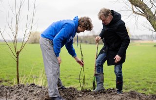 Melkveehouders planten bomen voor meer biodiversiteit