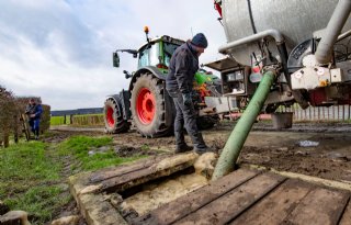 Minder fosfaat- en meer stikstofuitscheiding in 2023