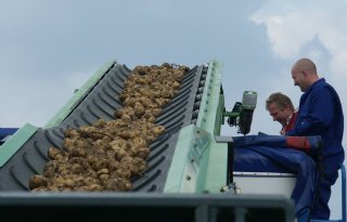 Bewaarders wachten af bij stijgende aardappelprijzen