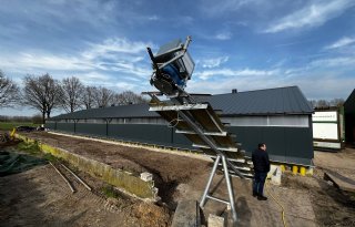 Wroetstal voor Krull-biggen in Sint Anthonis grote publiekstrekker