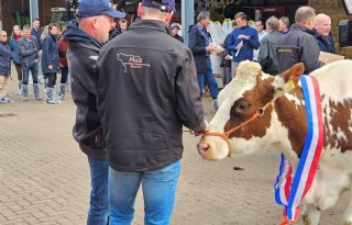 Joze 145 MRIJ-koe van het jaar