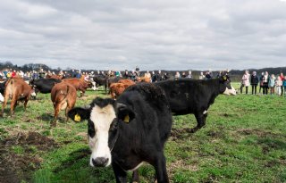 Voorjaar: nieuw leven en adrenaline