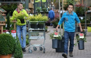 Intratuin zet in op vergroening Nederlandse tuinen