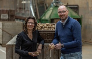 Rabobank en Agrofoodcluster ontwikkelen pootgoedvisie