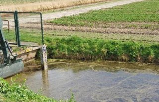 Deltares: geen aanwijzingen dat dinoterb is gebruikt door bollensector