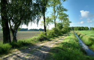 Meer meetpunten nodig om effect stikstofdepositie op natuur te bepalen