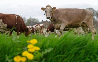 Biohuis vraagt kabinet rekening te houden met bioboeren na stikstofuitspraak