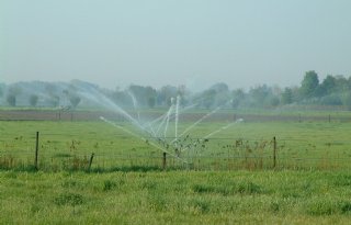 Brabantse boeren mogen dit voorjaar grasland beregenen