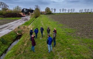 Flevolandse boeren leren over jaarrond begroeide bufferstroken