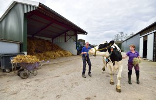 Subsidie voor betere waterkwaliteit in Rijnland meer gebruikt dan verwacht