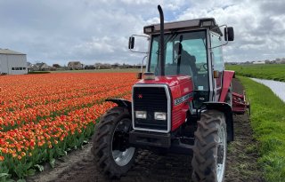 POAH! Massey Ferguson 3050