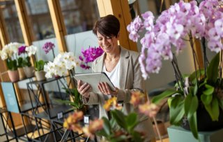 Sierteelt wil verduurzaming versnellen