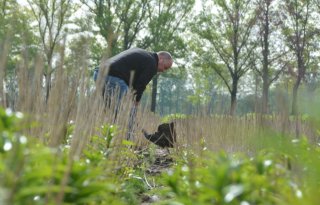 Akkerbouwers komen in de knel met inzaai rustgewassen