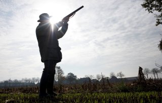 Gelderland moet van rechter opnieuw aan de slag met 'onduidelijk' faunabeheerplan