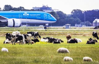 Ministerie LNV: stikstofruimte Schiphol is wel afgeroomd