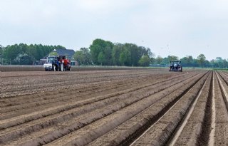 Pootgoedteler moet nog zeker tien dagen poten