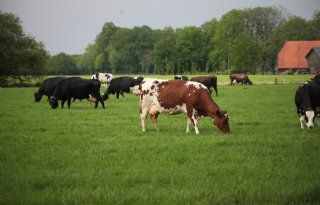 Rabobank verwacht dat grondprijzen blijven stijgen