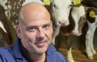 'Overstap kalf van melkveebedrijf naar kalverhouderij wordt groter'