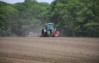 'Doelsturing past bij vakmanschap van telers'