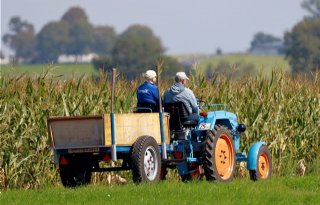 Arbeidsinspectie ziet overtredingen bij 70 procent bezochte melkveebedrijven