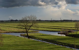 Boeren Krimpenerwaard krijgen meer tijd voor vergunning