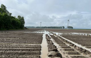 Extreem nat voorjaar volgens ING debet aan lagere voedselproductie