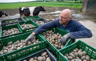 Komend weekend poten ondanks 220 millimeter regen in zes weken