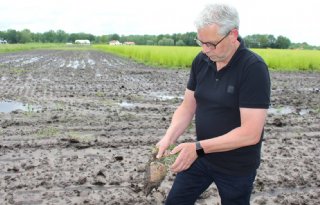 Wateroverlast bezorgt gewastelers veel stress