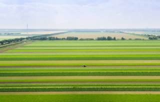 ERF en Hemus delen kennis over biologische landbouw in Flevoland